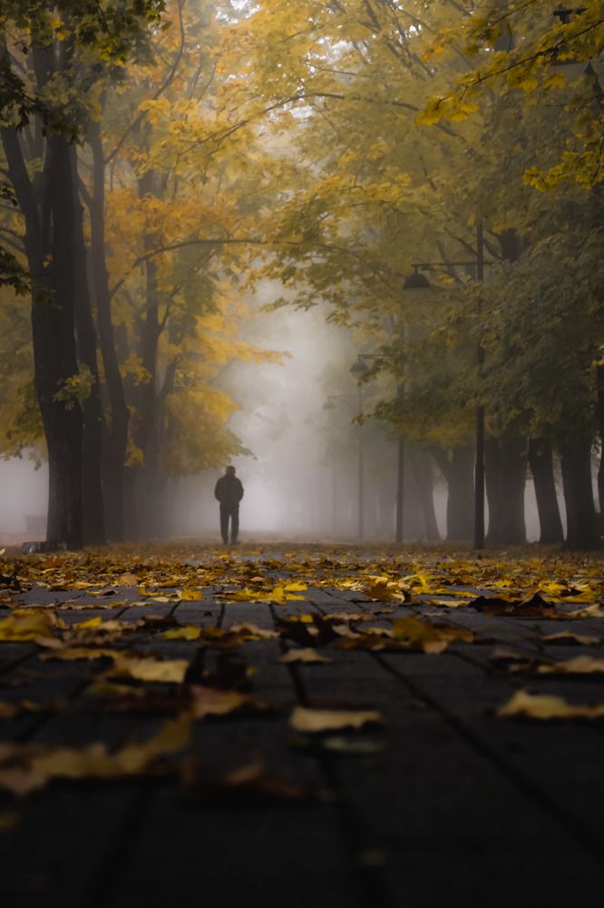 Photograph by Владимир Кульбит