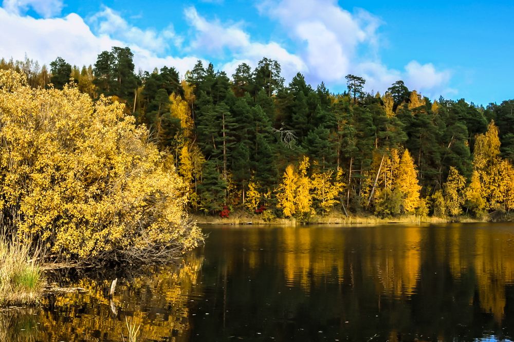 Фотография автора Елена Разина