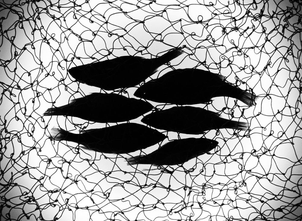 Photograph by Александр Зарх