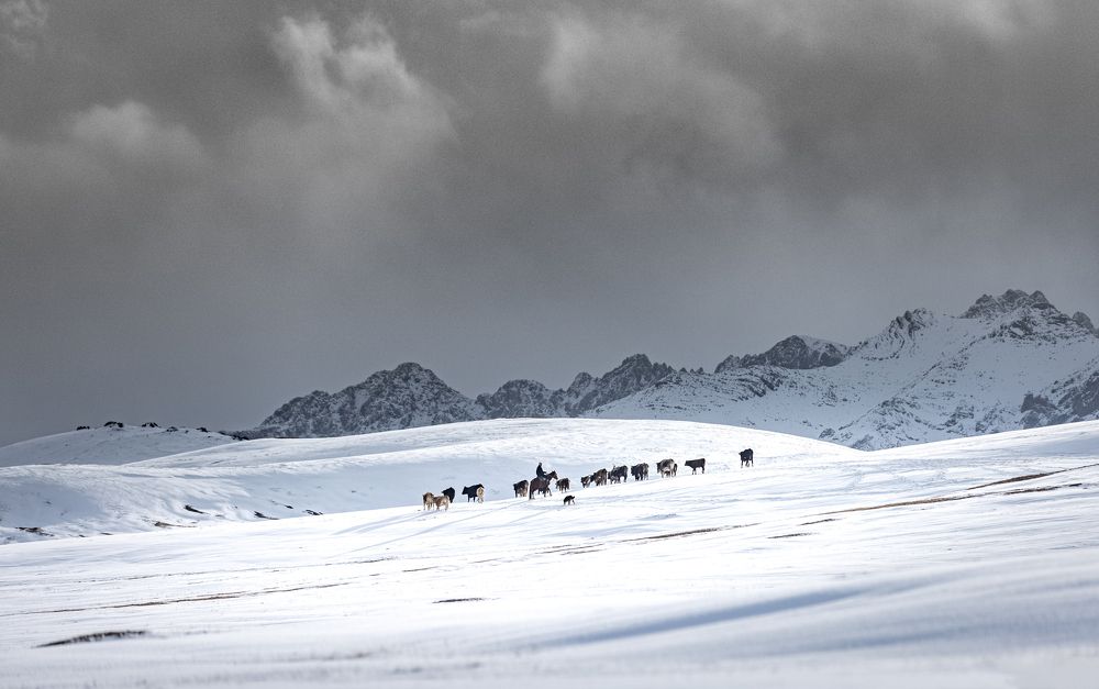 Photograph by Bevzenko Roman