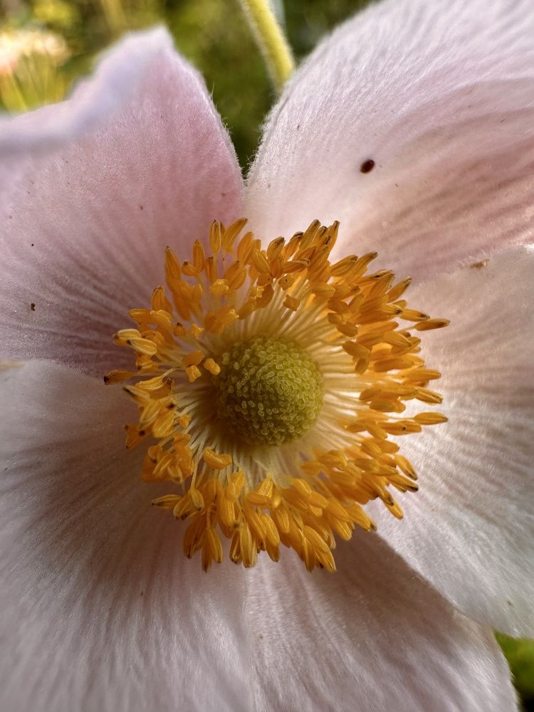 Photograph by Елена Посохина