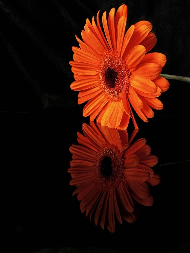 Photograph by Елена Дрогайцева