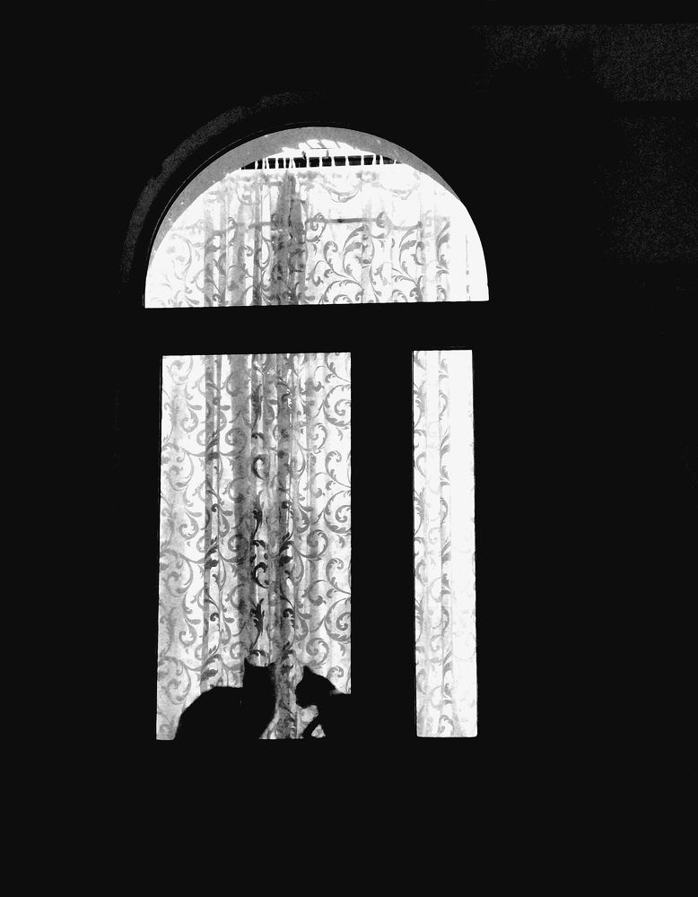 Photograph by Наталия Питолина