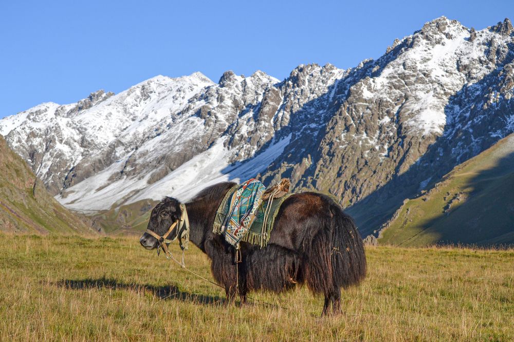 Photograph by Савчук Сергей