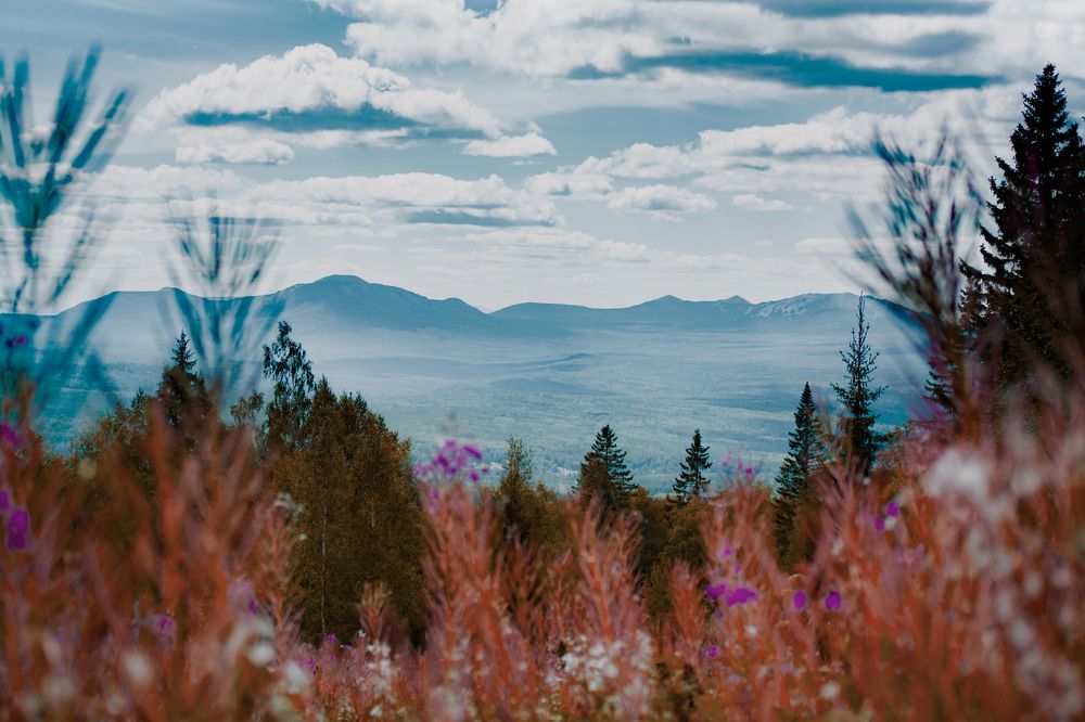 Photograph by Антон Глухов