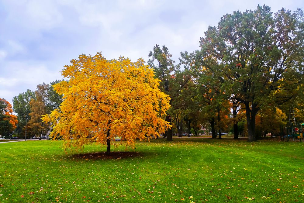 Photograph by Ivars Andrups