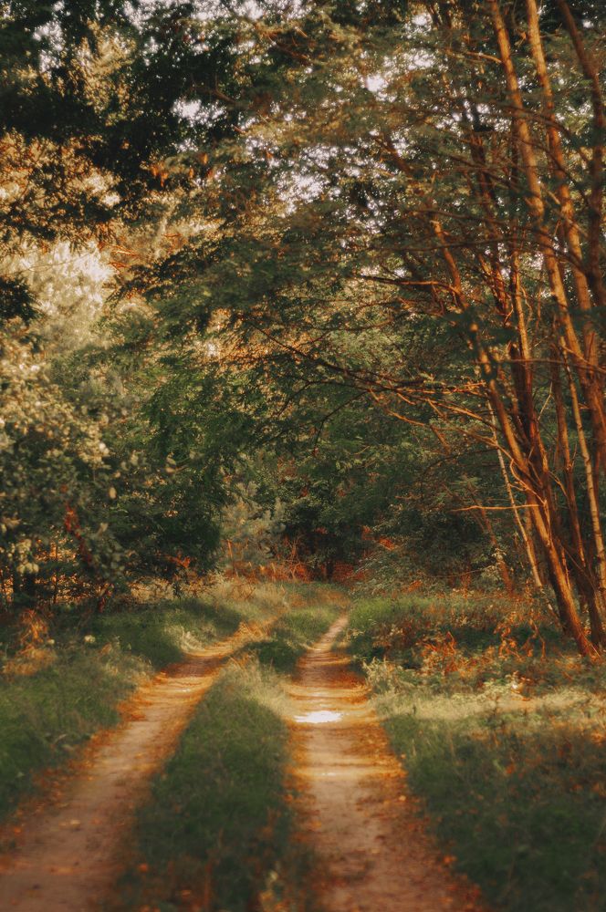 Photograph by Ольга Глущенко