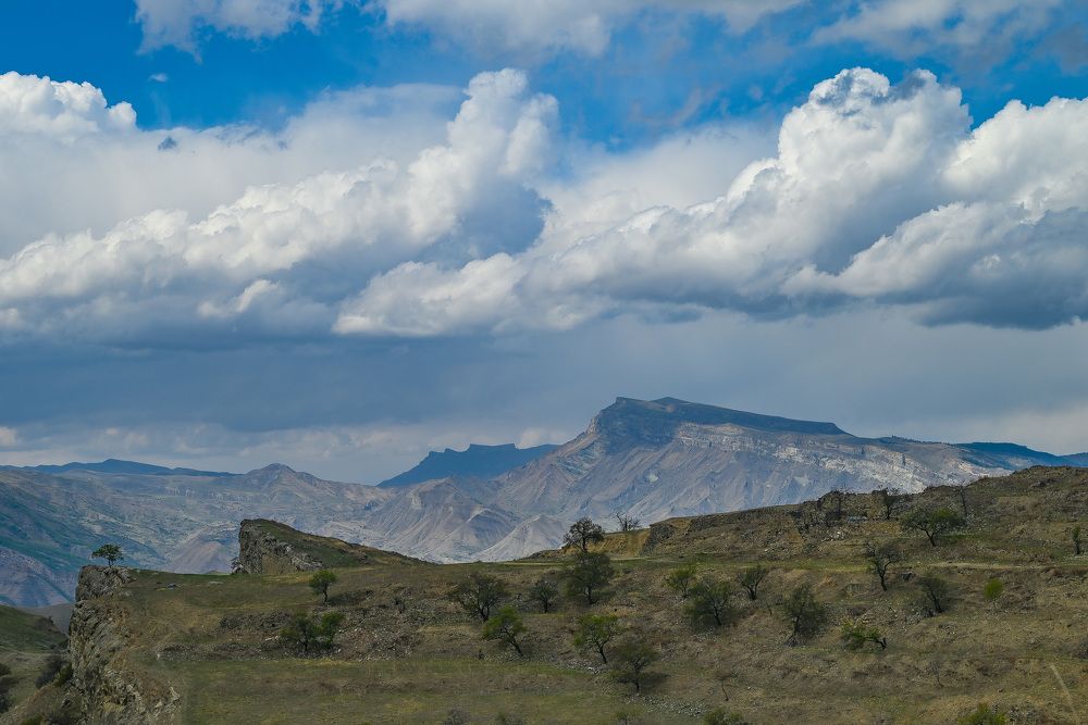 Photograph by Инна Гаджиева