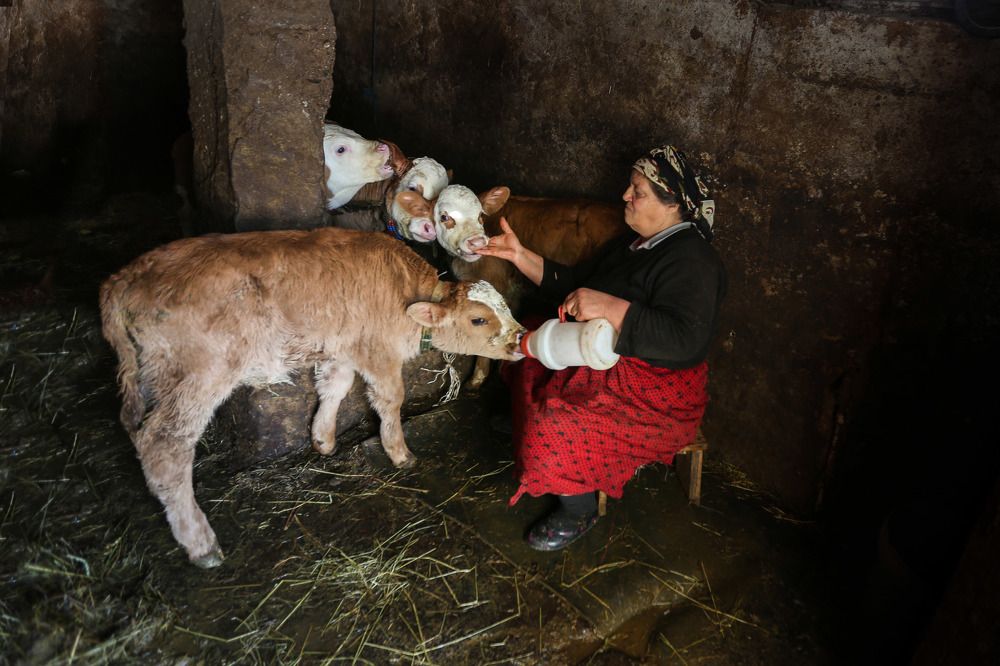 Photograph by Elmas Cumcu