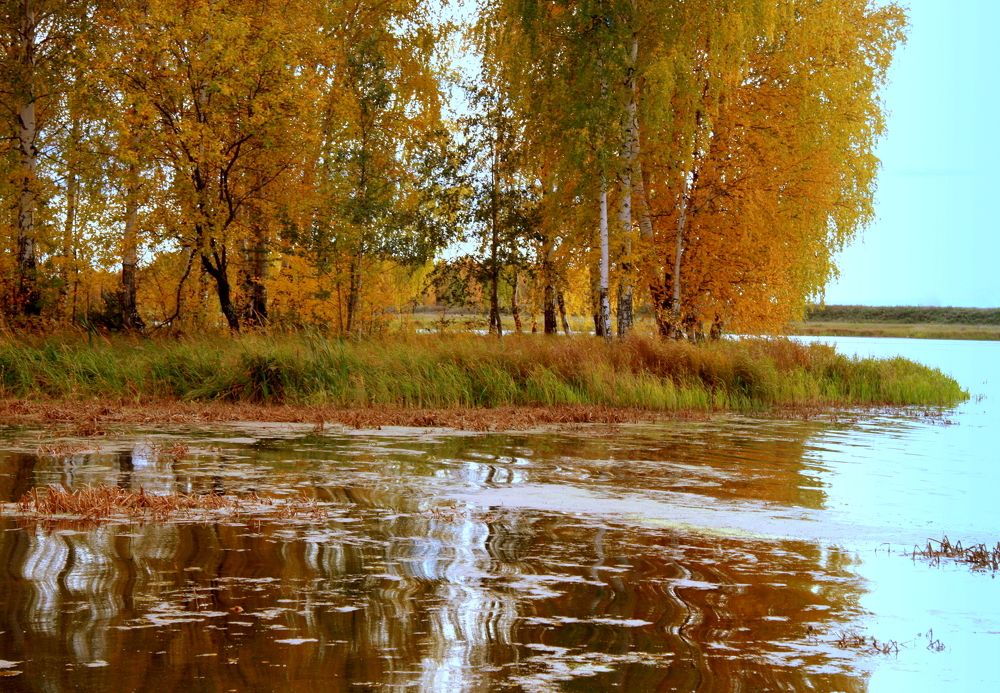 Фотография автора Nelya  Lysenko