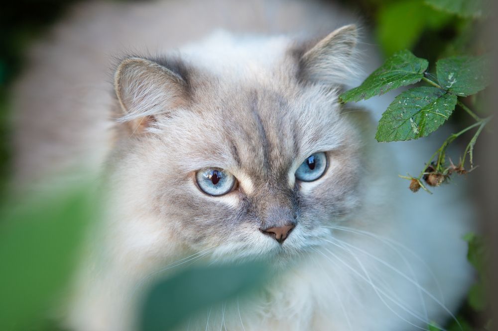 Photograph by Елена Коновницына