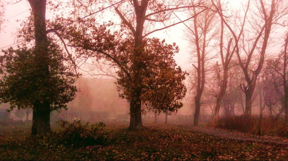 Туман осеннего Новомосковска