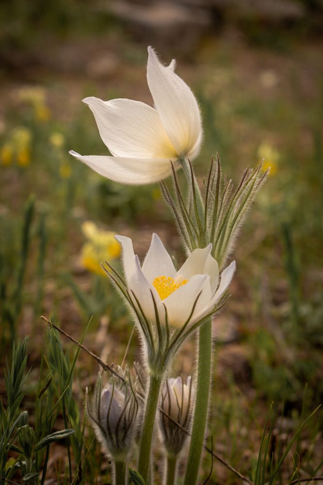 Photograph by Алина Аглямова