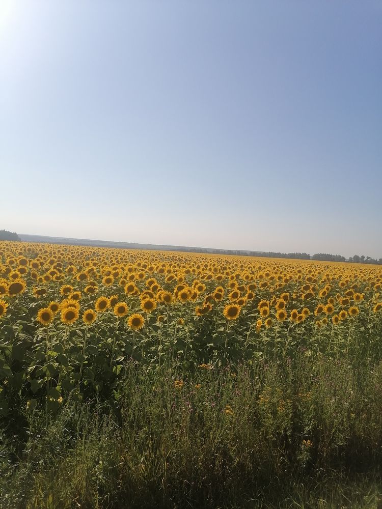 Photograph by Юлия Павленко