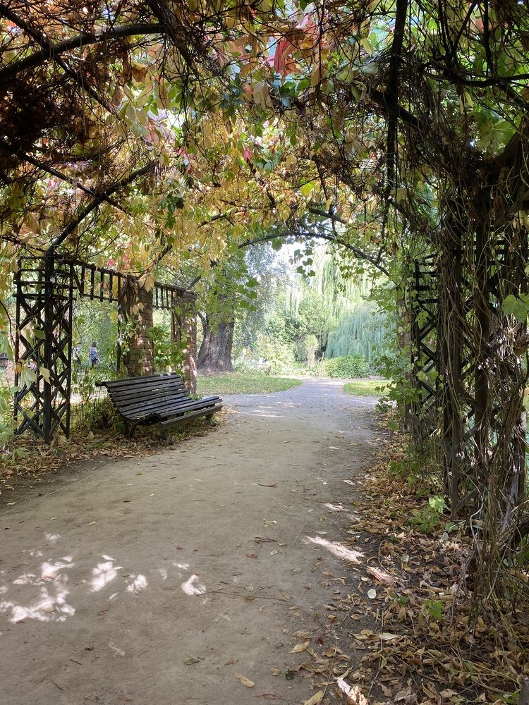 Photograph by NATALJA ROGALOVA