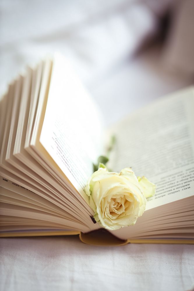 Photograph by Харламова Алина