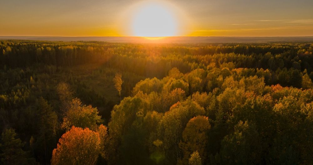 Photograph by Сергей