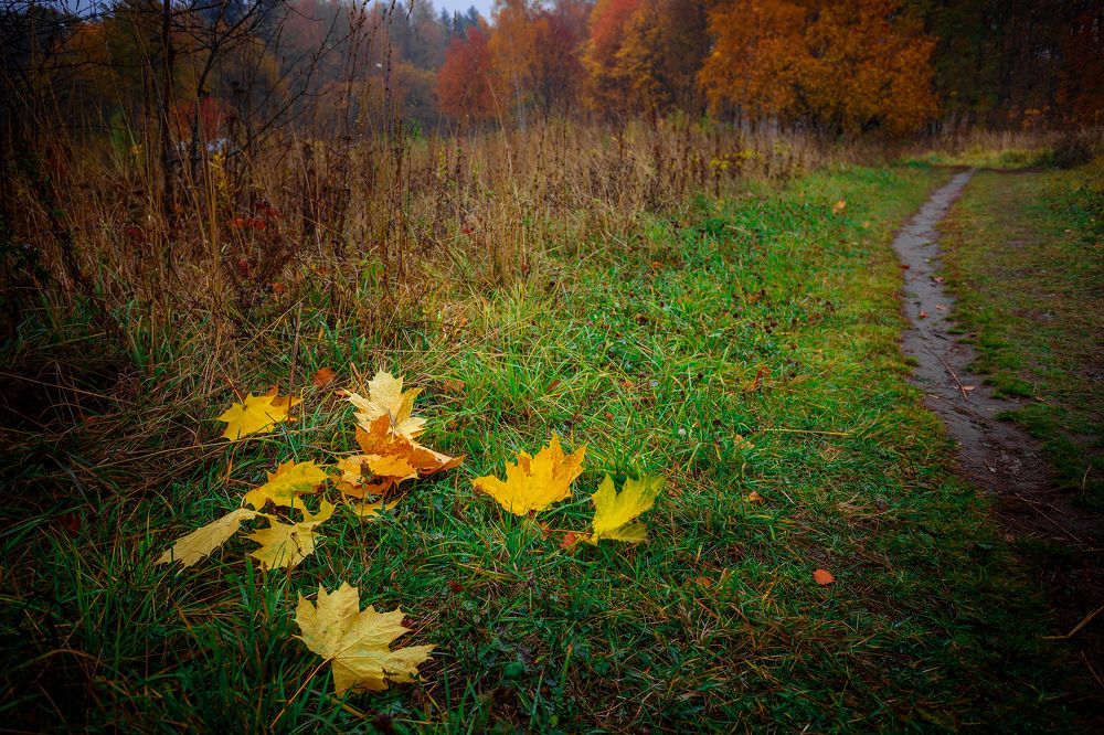 Photograph by Алексей Трифонов