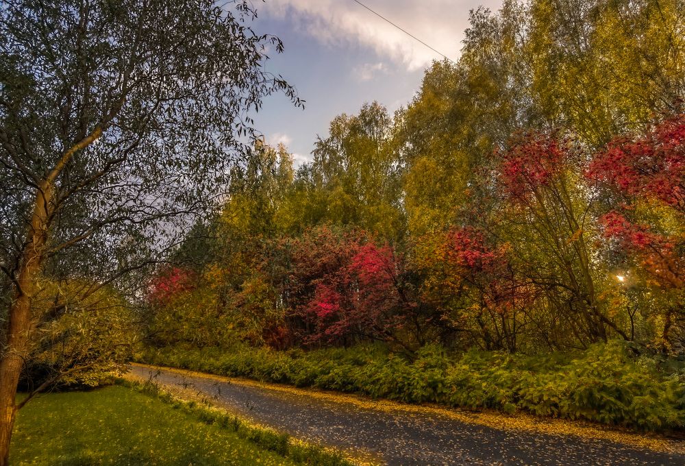 Фотография автора Наталия Разумова