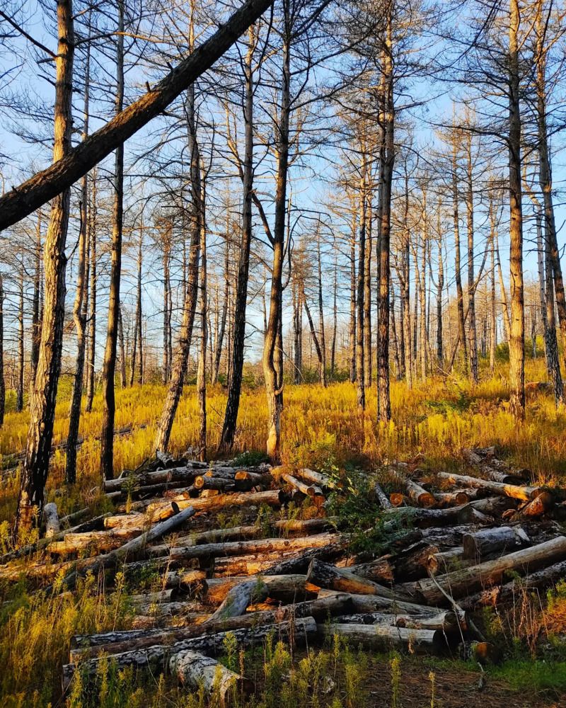 Photograph by Александра