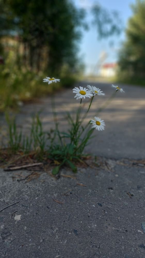 Фотография автора Евгения Зайцева