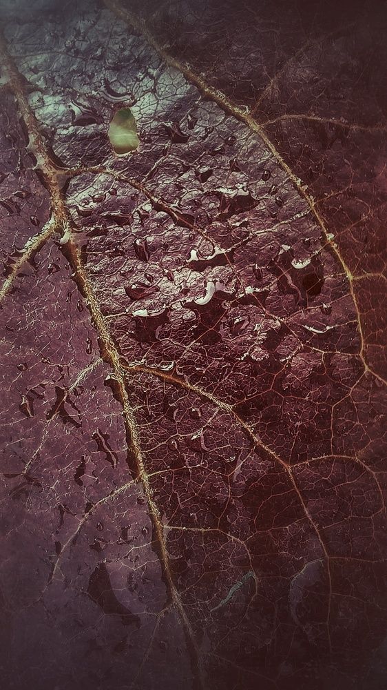 Фотография автора Евгения Зайцева