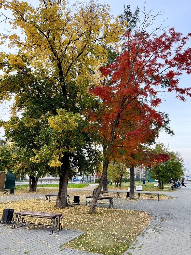 Photograph by Татьяна Унал