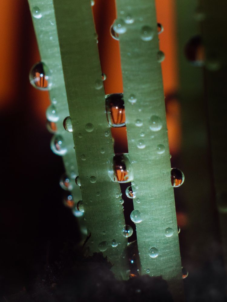 Photograph by Дмитрий Степанец