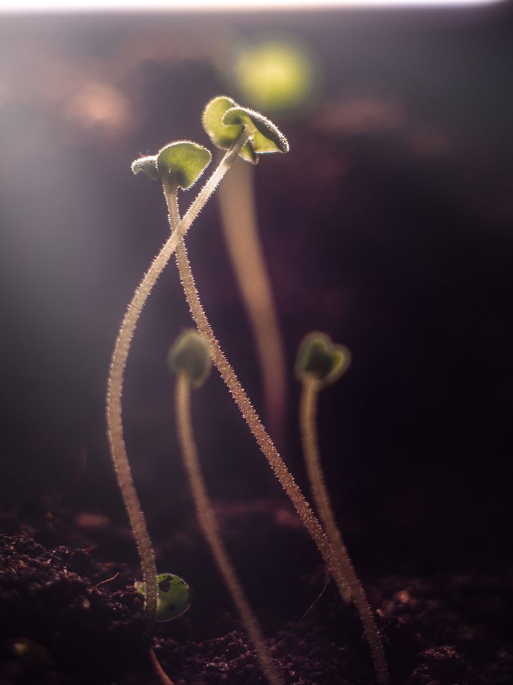 Photograph by Дмитрий Степанец