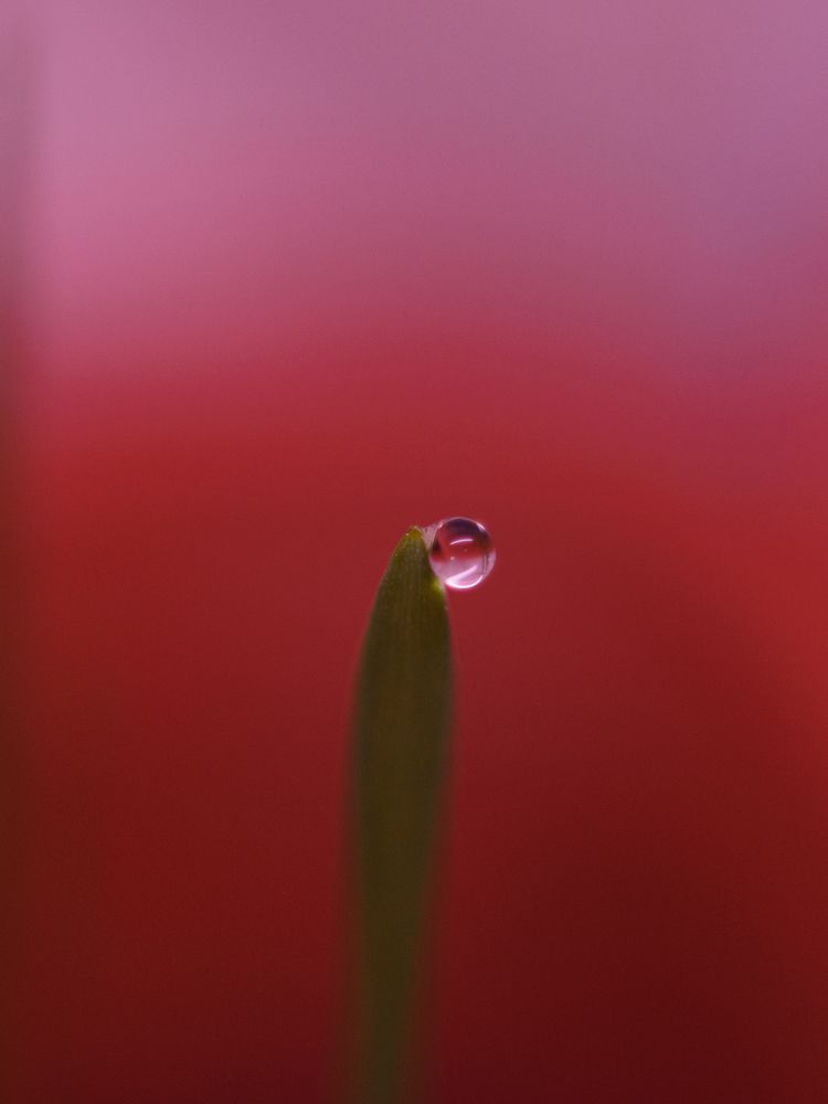 Photograph by Дмитрий Степанец