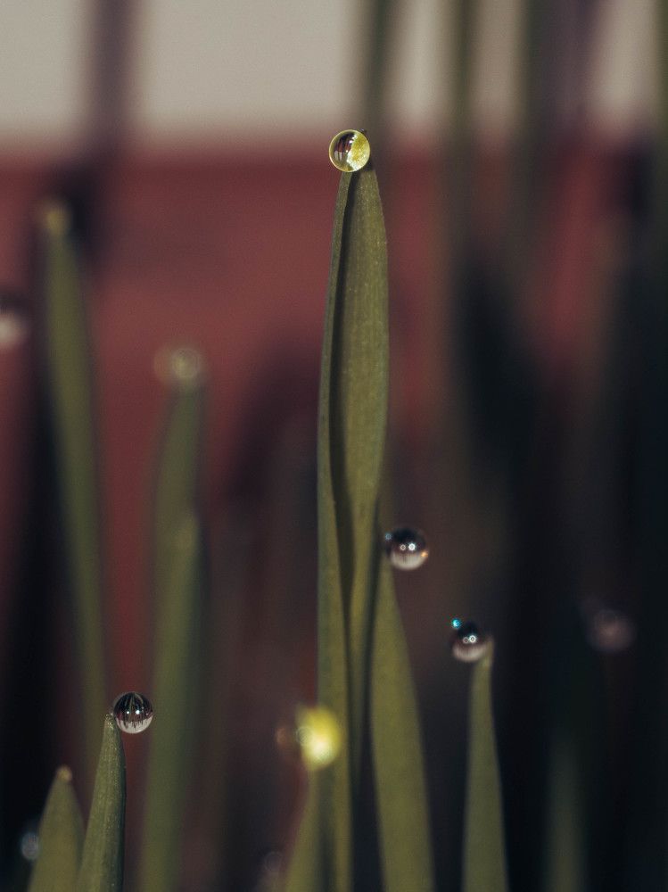 Photograph by Дмитрий Степанец