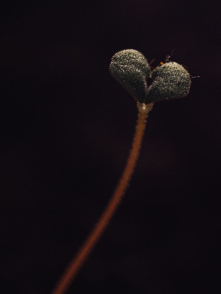 Photograph by Дмитрий Степанец