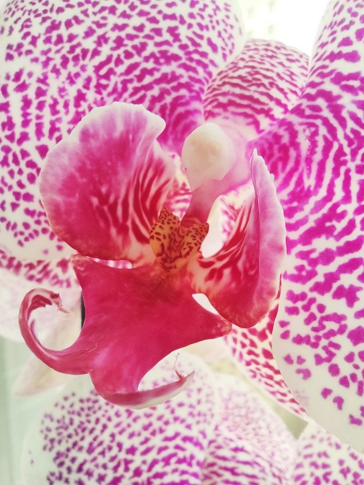 Photograph by Александра