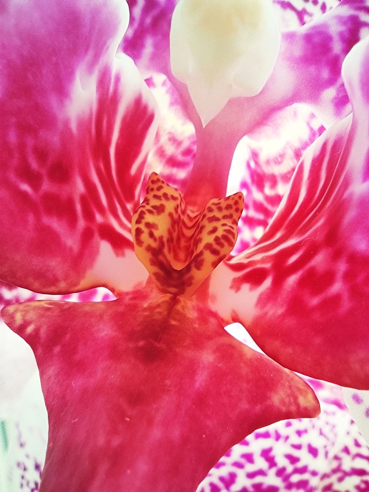 Photograph by Александра