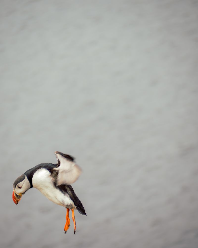 Photograph by Ektor Karyotakis