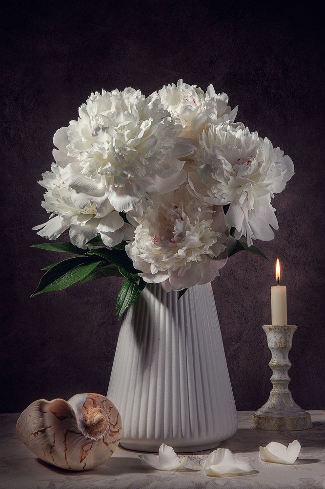 Photograph by Морозов Сергей