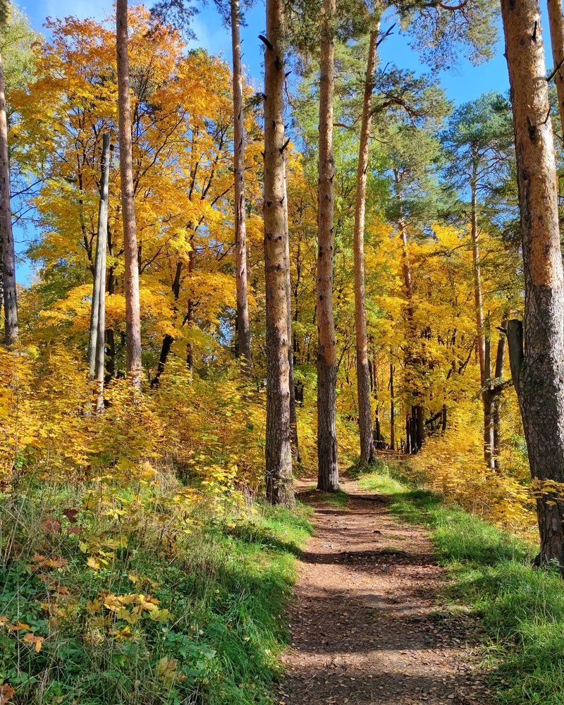 Photograph by Петр Поспелов