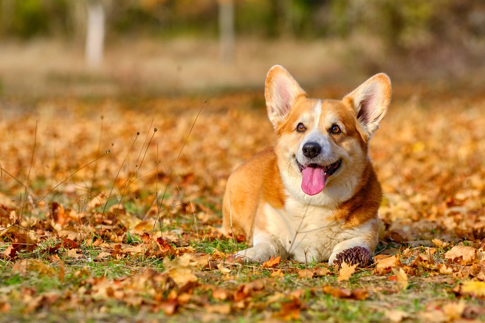 Photograph by Станислав Дроздов