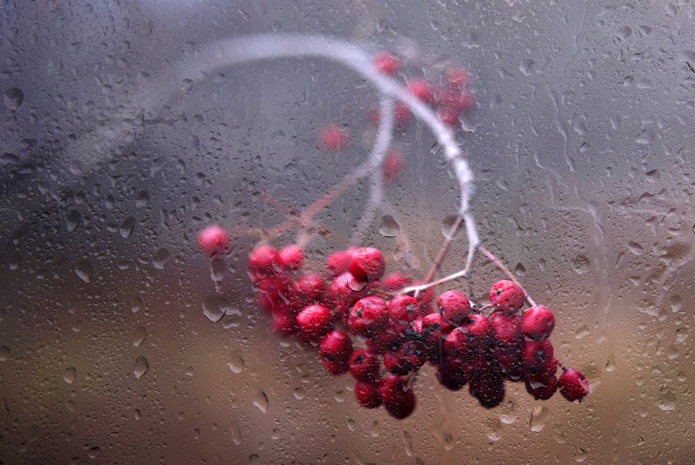 Photograph by Юрий Яковлев