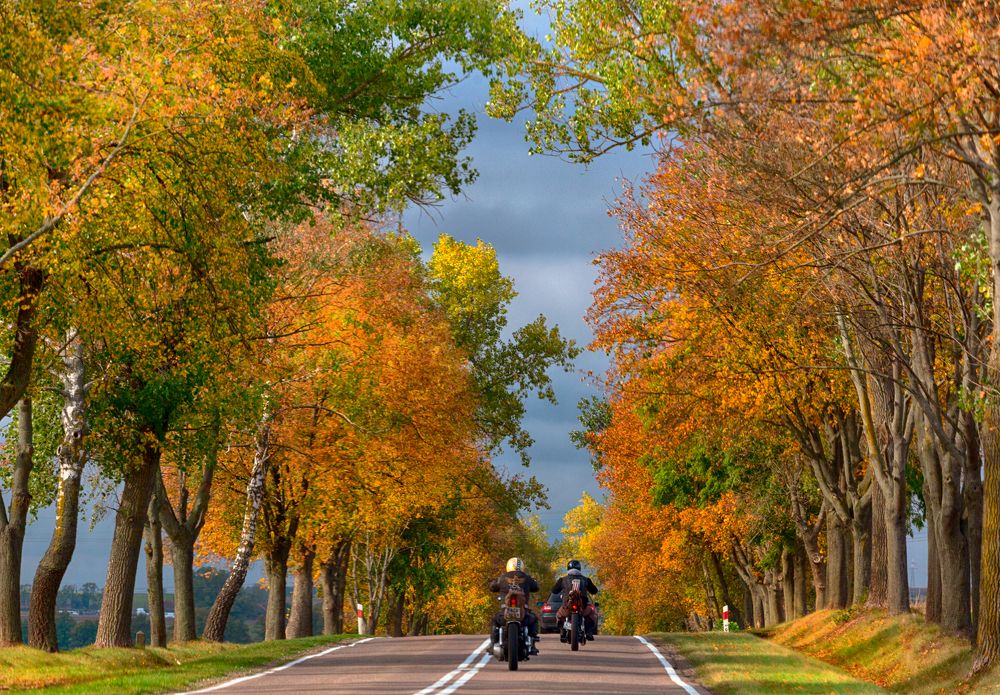 Фотография автора Людмила Прокофьева
