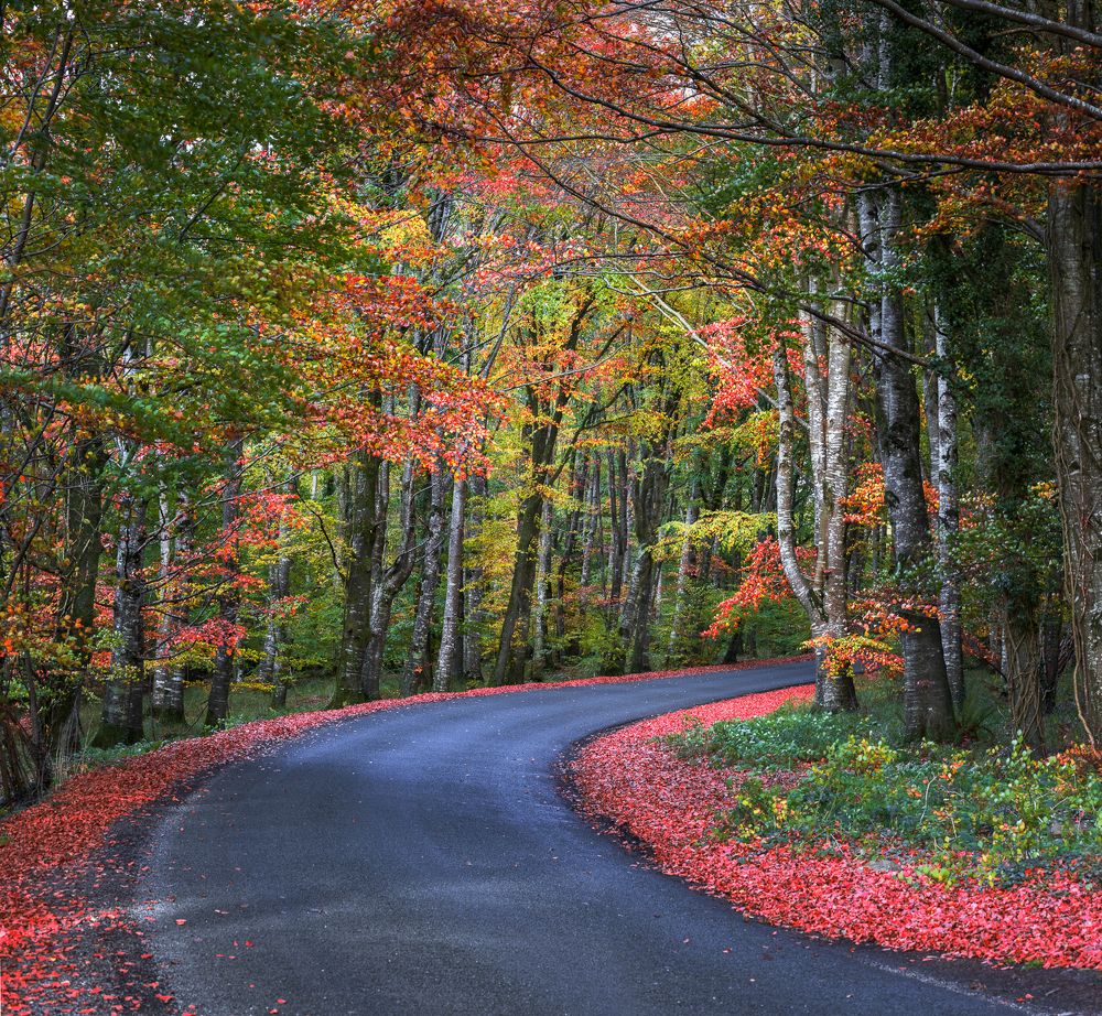 Photograph by Petrov Ivaylo