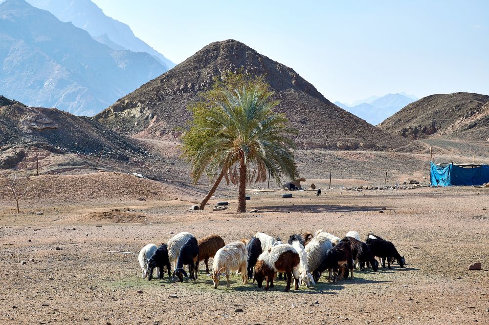 Photograph by Ivars Andrups