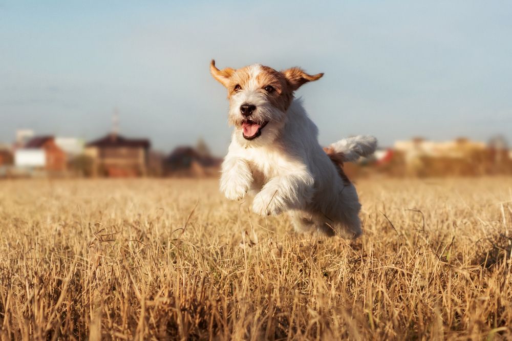 Photograph by Соколова Елена