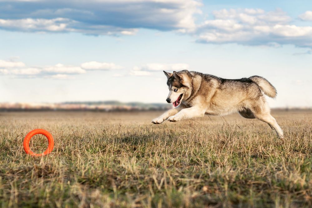 Photograph by Соколова Елена
