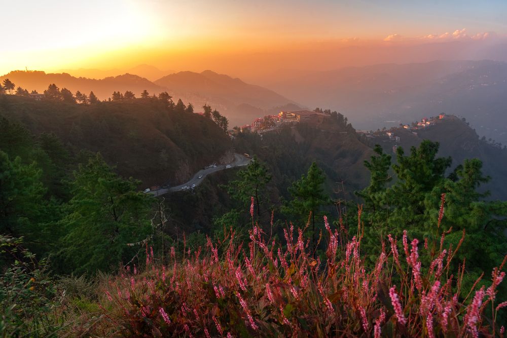 Photograph by Priyesh kumar