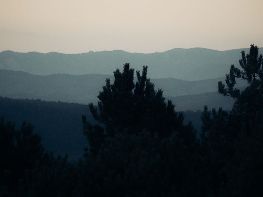 Morning landscape overlooking the city reservoir