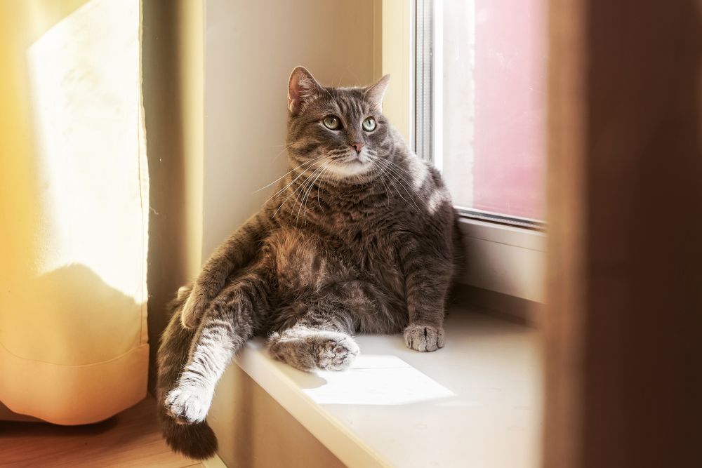 Photograph by Соколова Елена