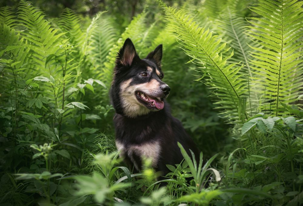 Photograph by Соколова Елена