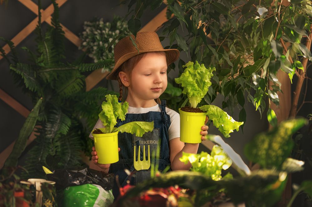 Photograph by Мария Банафрит