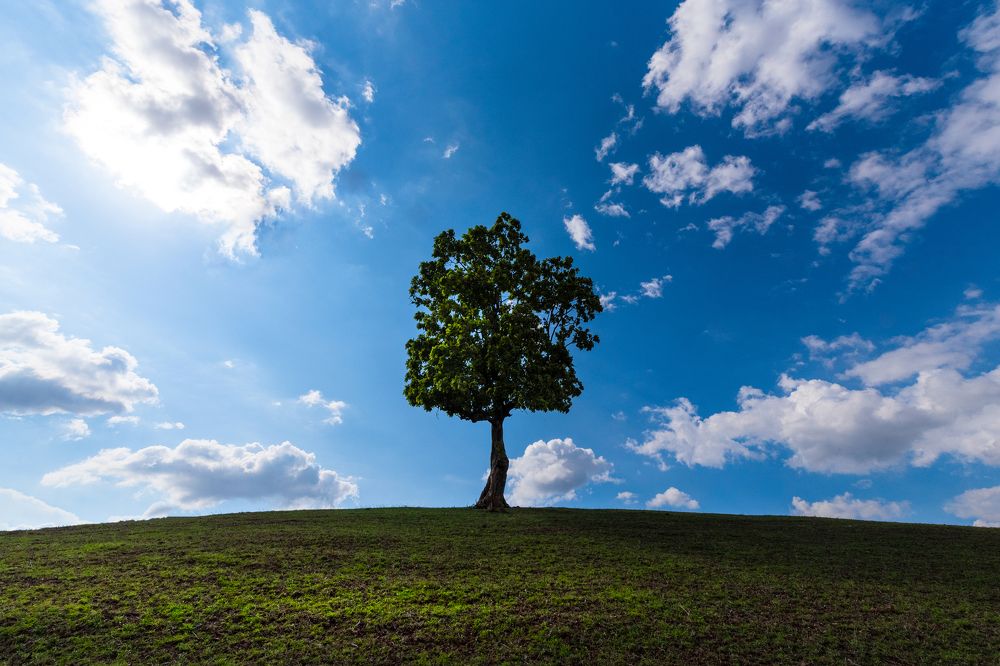 Photograph by Priyesh kumar